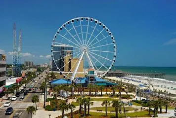 A ferris wheel on the beach with palm trees.