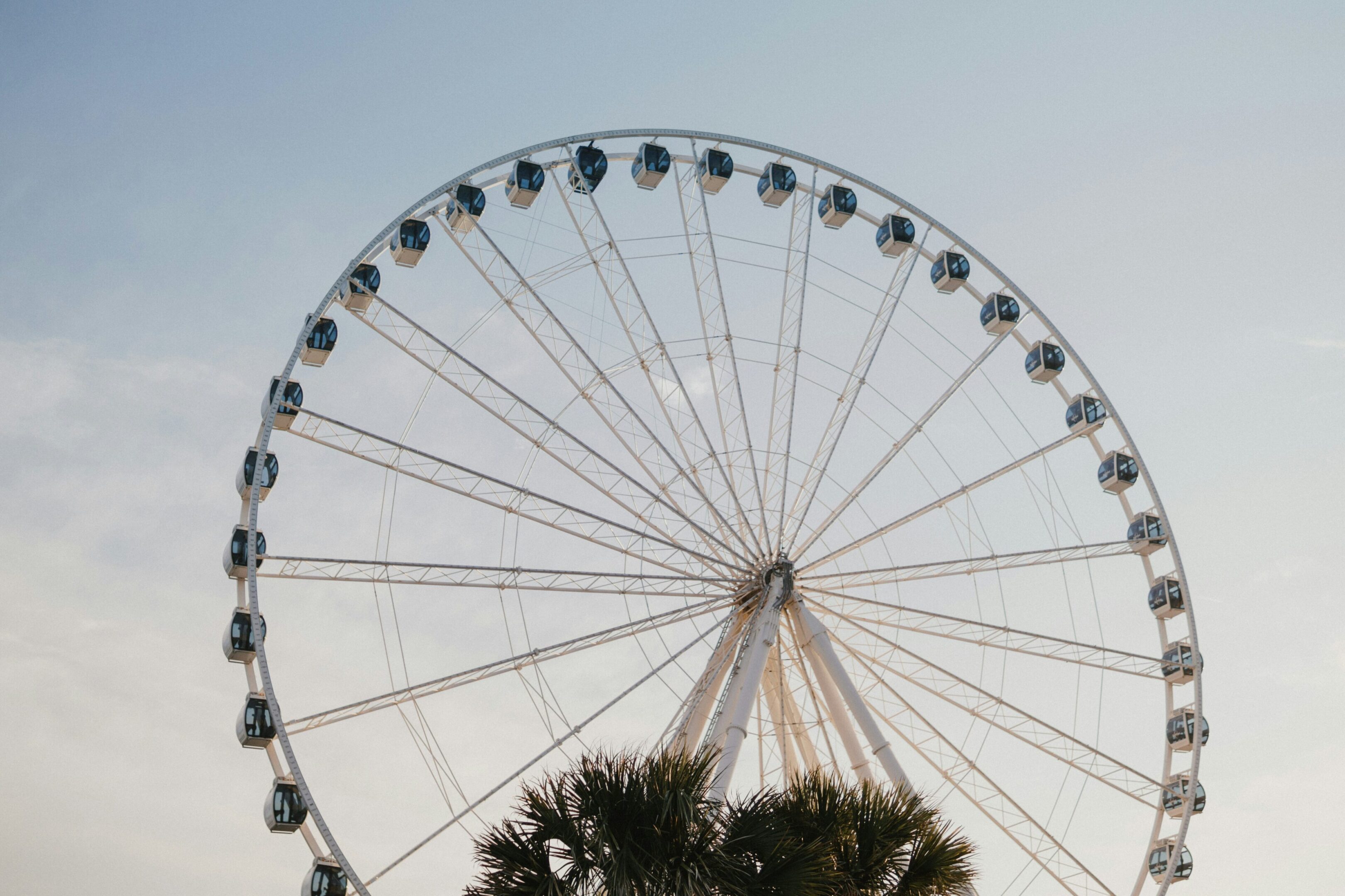 A ferris wheel with a sky background
